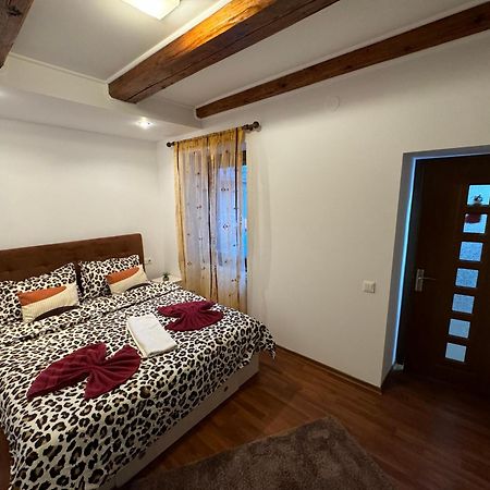 Iazi Apartament 布拉索夫 外观 照片