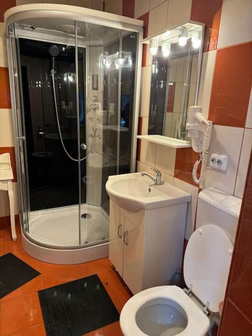 Iazi Apartament 布拉索夫 外观 照片