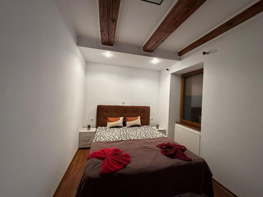 Iazi Apartament 布拉索夫 外观 照片