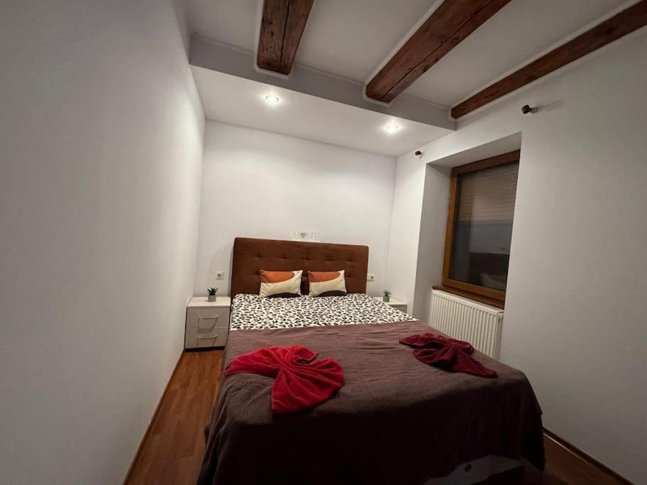 Iazi Apartament 布拉索夫 外观 照片