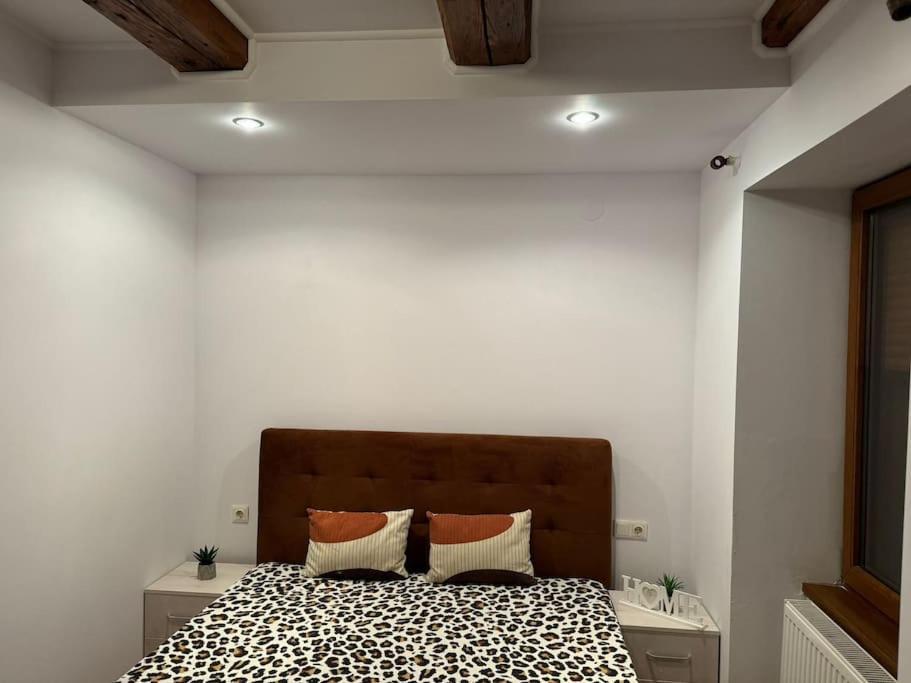 Iazi Apartament 布拉索夫 外观 照片