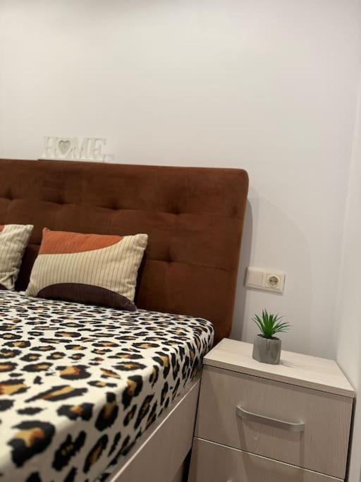 Iazi Apartament 布拉索夫 外观 照片