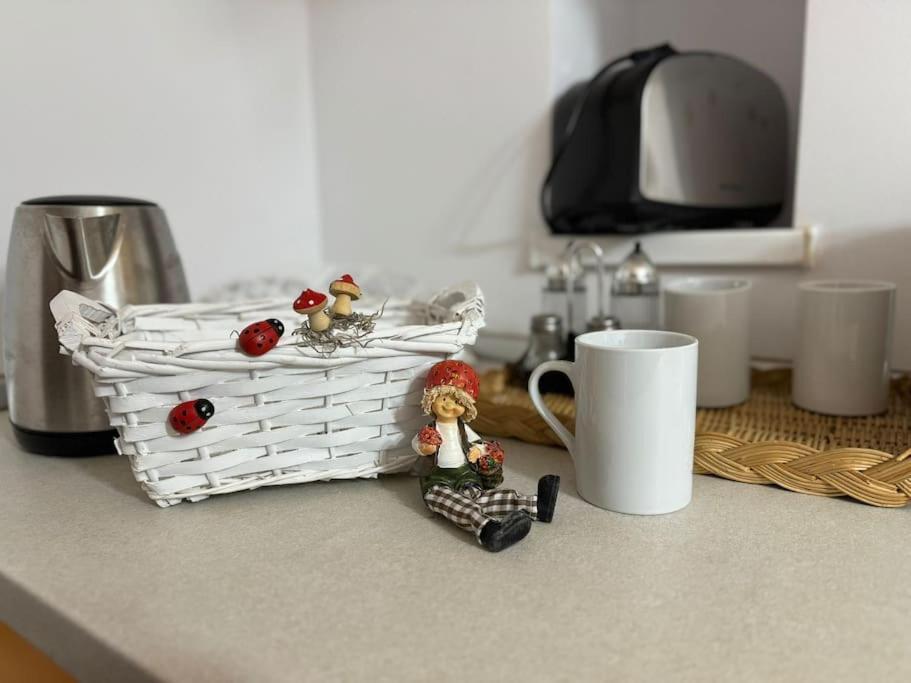 Iazi Apartament 布拉索夫 外观 照片