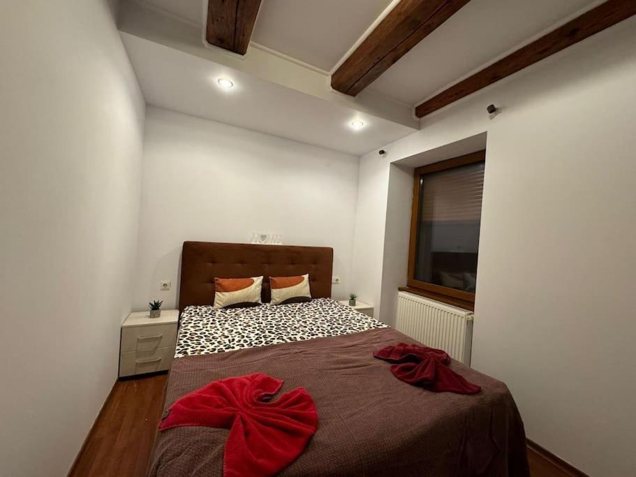 Iazi Apartament 布拉索夫 外观 照片