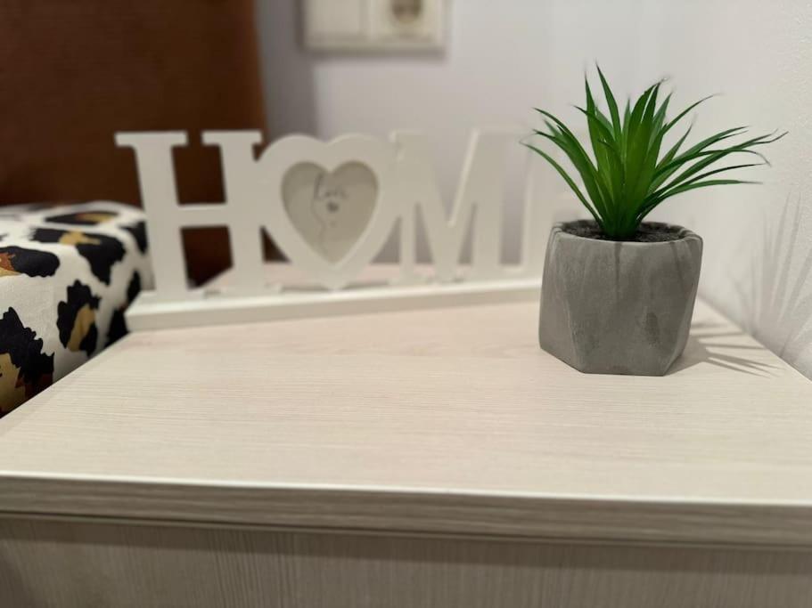 Iazi Apartament 布拉索夫 外观 照片